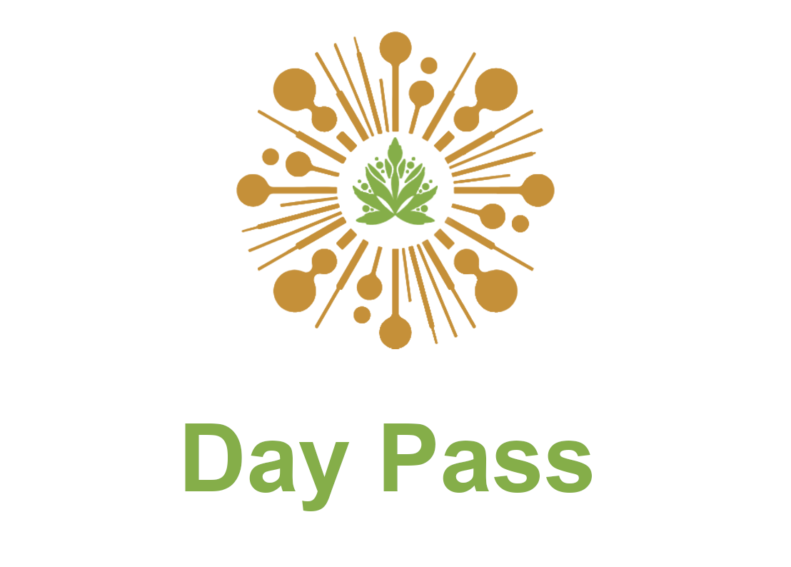 Day Pass